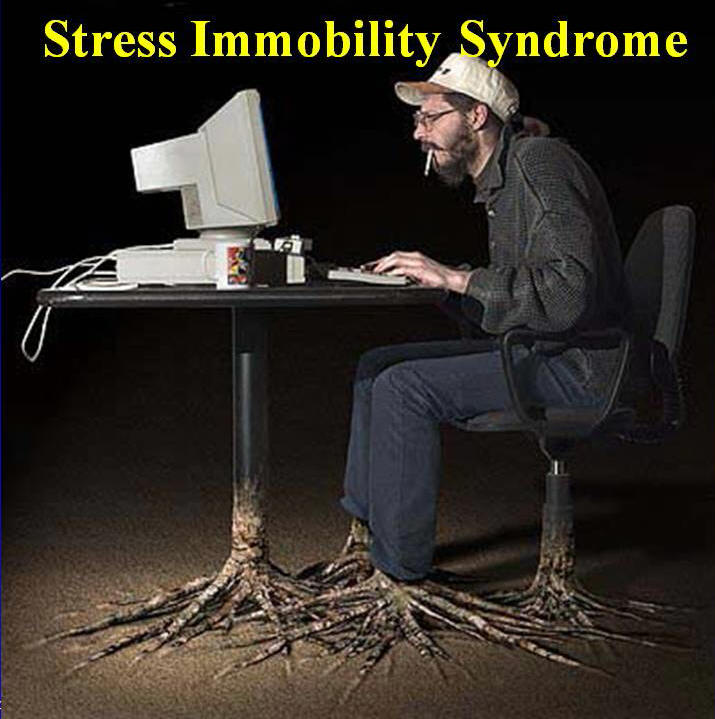 stress immobility syndrome